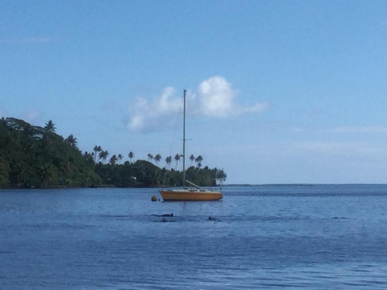 Raiatea Sur Mer Opoa Экстерьер фото
